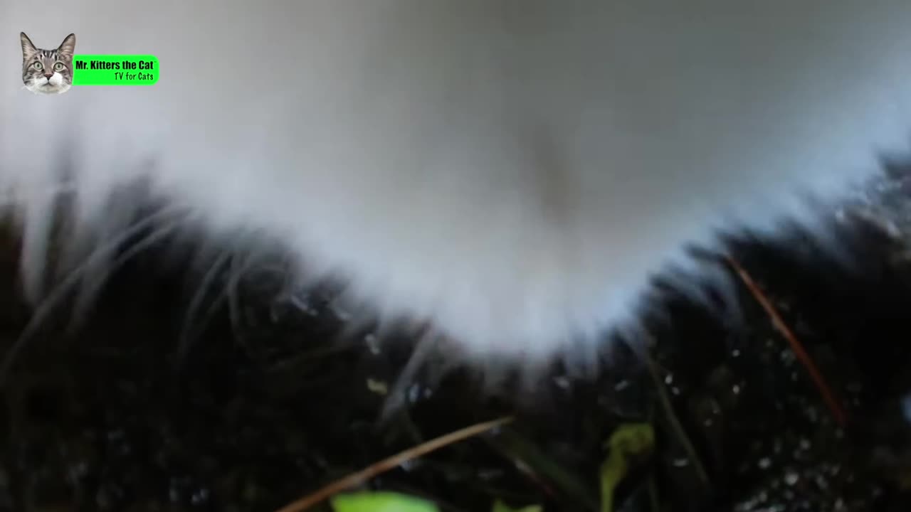 Know Thy Enemy! Studying the Mishnah! Scrolling X! Playing Jugcraft?