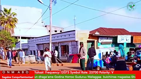 Oduu Ganama ONM-ABO Onkoloolessa 25-2025 itti dhiyaadhaa!