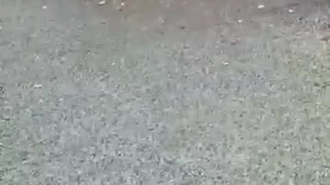 Granddaughter 14.04.2021 10 Am Singapore,,