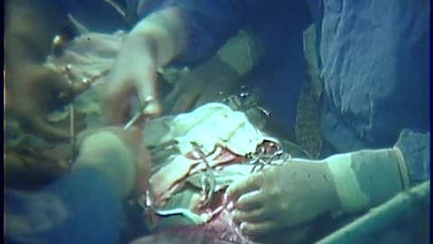 Film No. 7954 - Film No. 7954 - gov.archives.li.255.s.7954