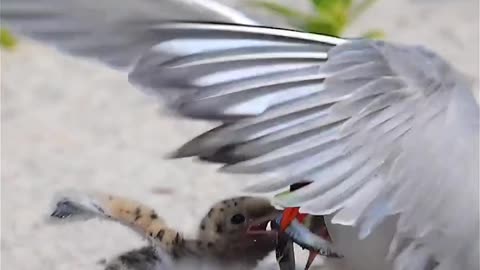 Beauty of nature