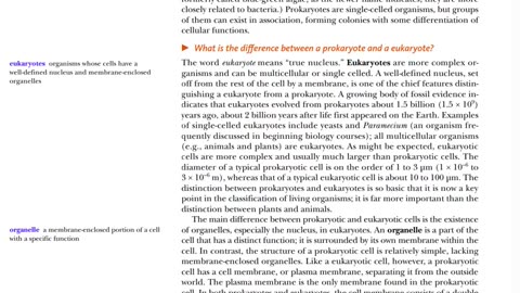 For Size Comparison - Prokaryotes vs Eukaryotes - Biochem Ch1 P3