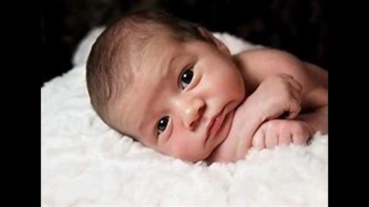 THE HUMAN RACE: A BIOGRAPHY - EPOCH TWO