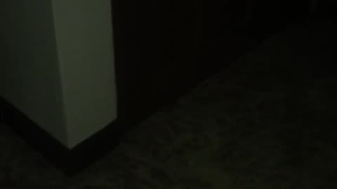 😱💥 You Won't Believe What They Heard! | TheHauntingHour