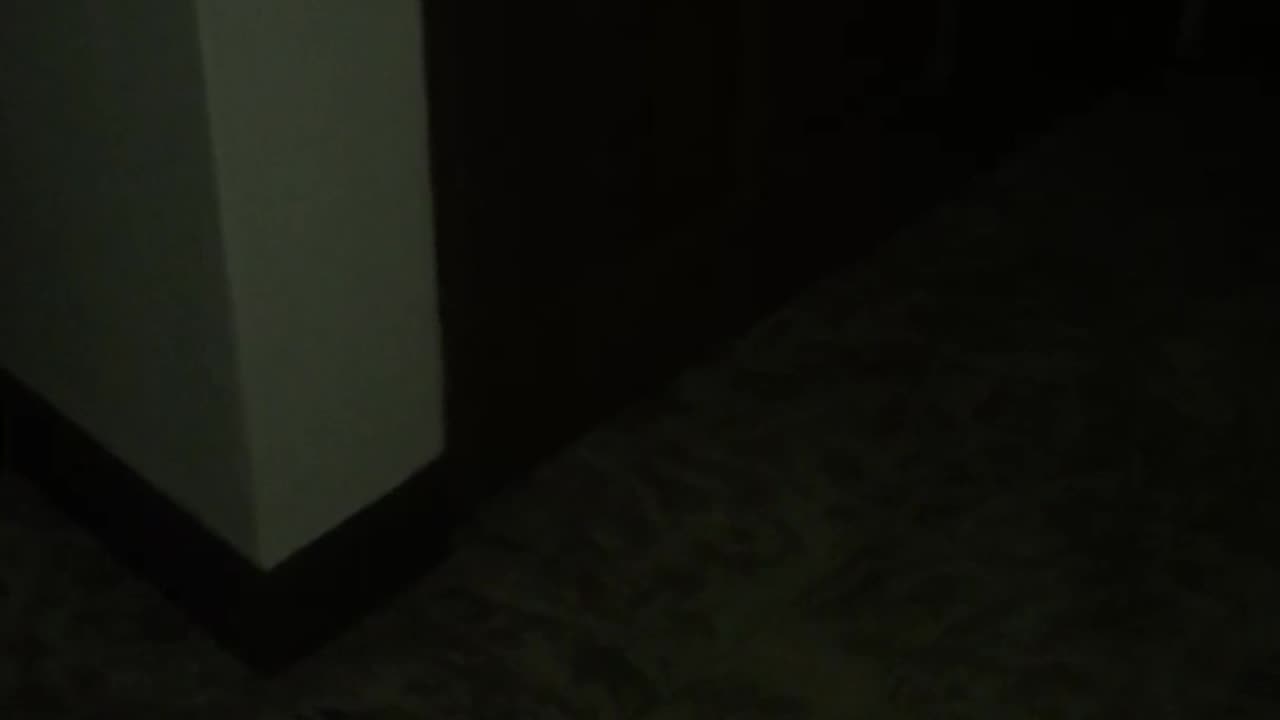 😱💥 You Won't Believe What They Heard! | TheHauntingHour