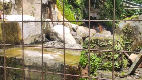 natural tourism