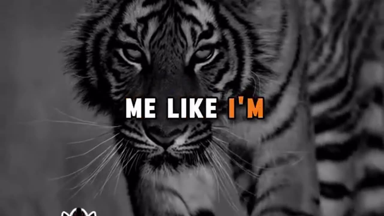 In life you need to be focused