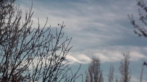 Chemtrails Manitoba Canada