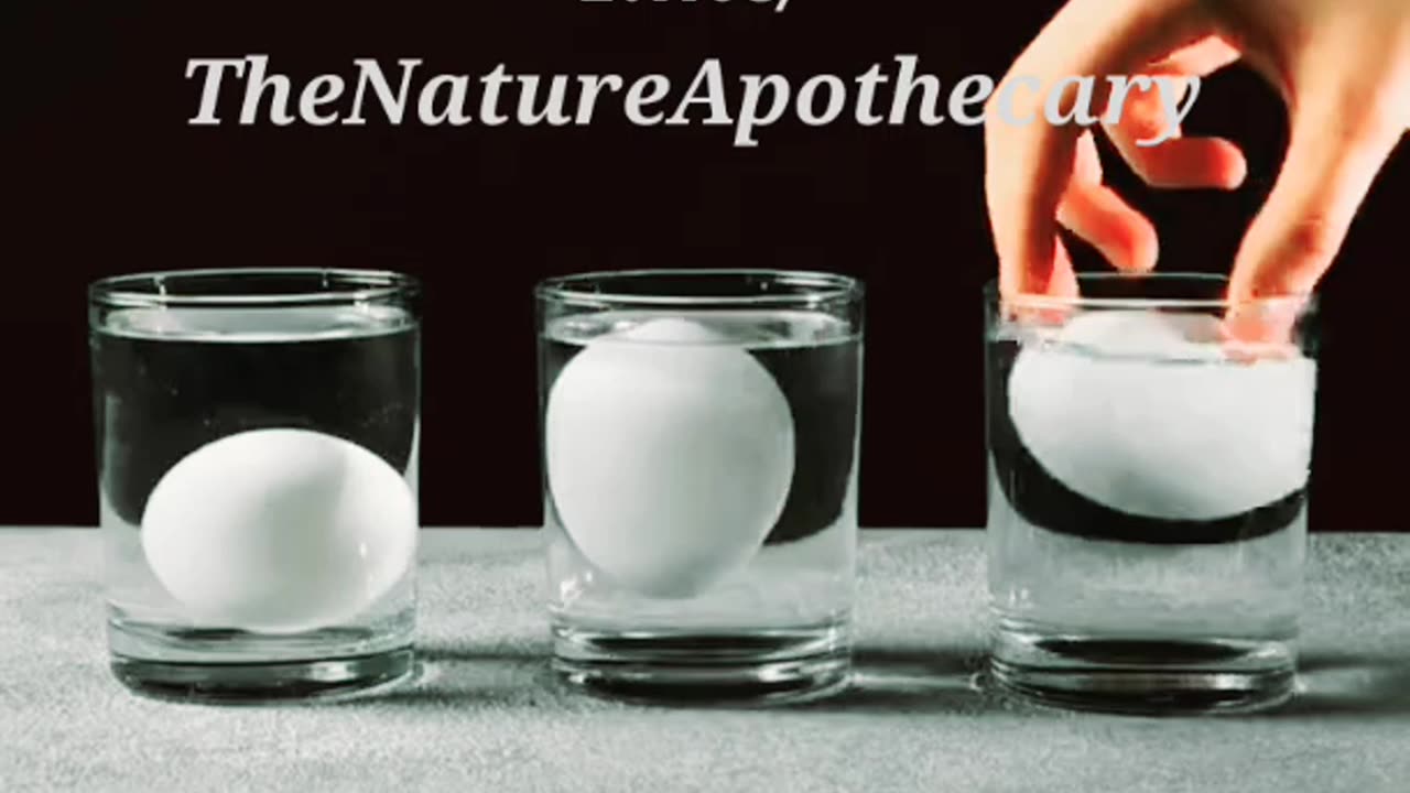 How to test the freshness of eggs.