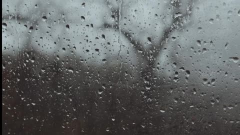 Daily Horoscope | Aquarius 🌟