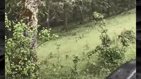 😱👻 The Scariest Paranormal Encounters! | TheHauntingHour