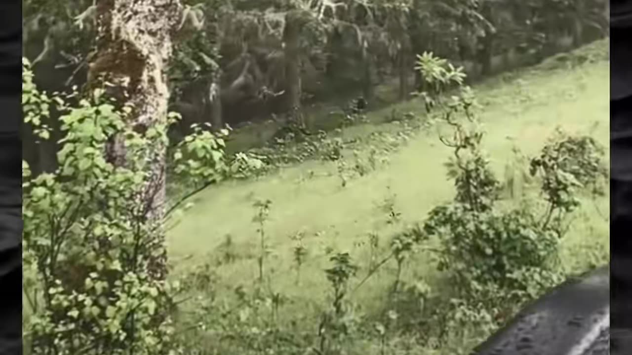 😱👻 The Scariest Paranormal Encounters! | TheHauntingHour