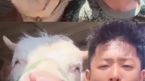 FUNNY & CUTE ANIMALS