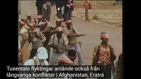 # 1619 - Hur Sveriges invandringsdröm plötsligt kollapsade. SVENSKTEXTAD.