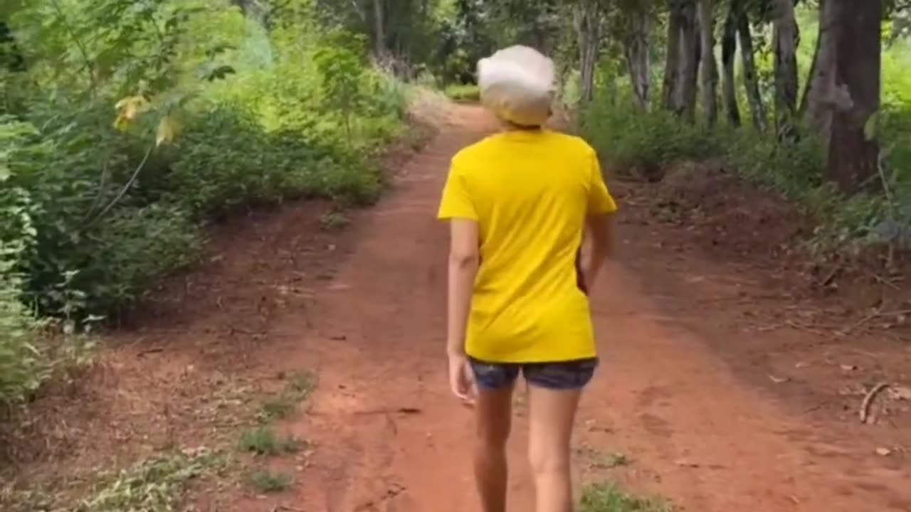 Minha plantação