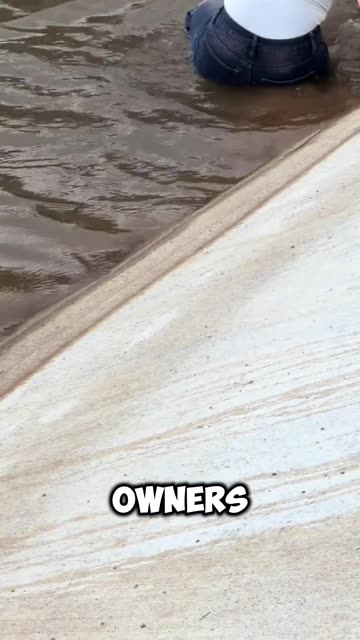 Not all heroes wear capes. This woman jumped into the cold water to save drowning dog.