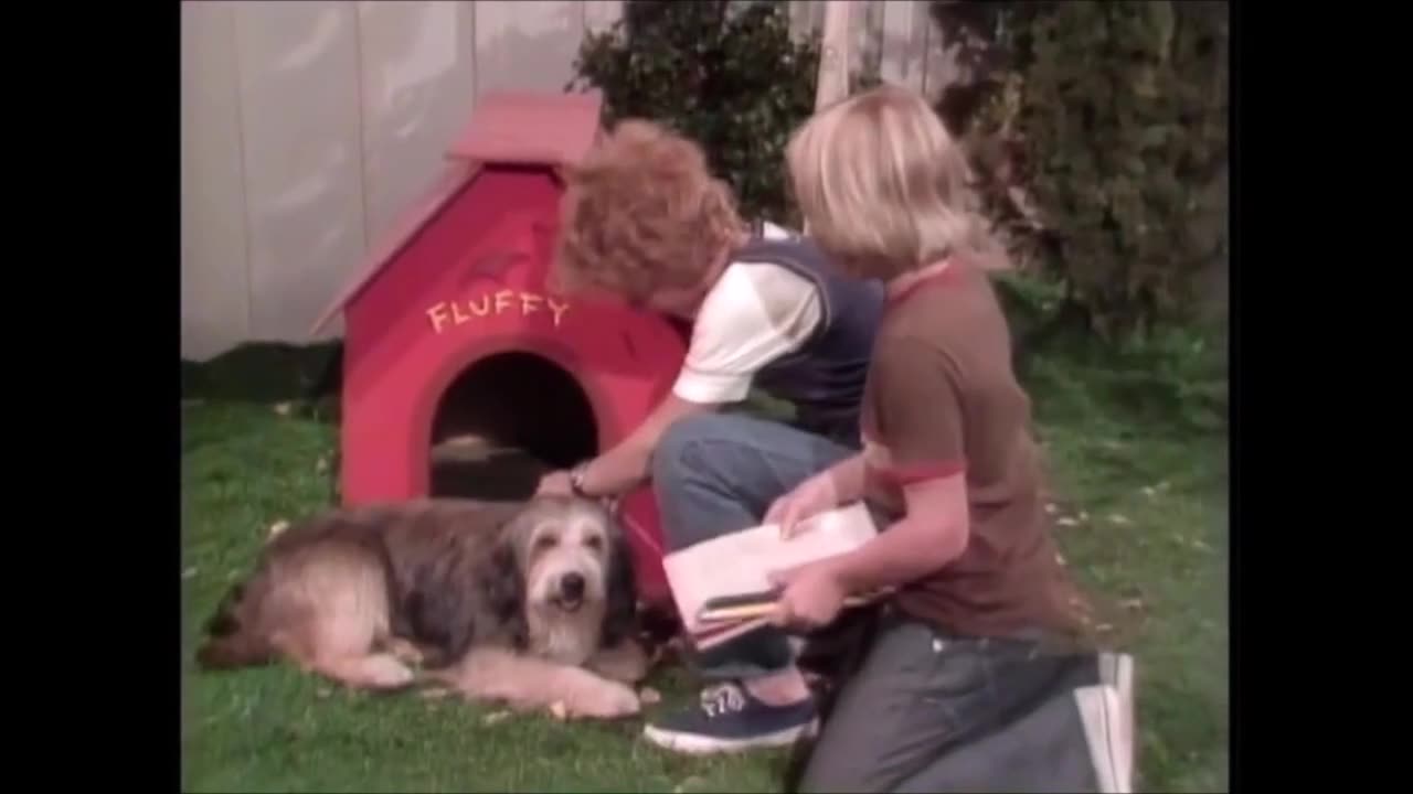 1973 Sigmund and the Sea Monsters S01E02 Puppy Love