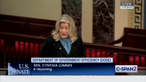 Rep. Cynthia Lummis List Programs USAID Wasted Money On