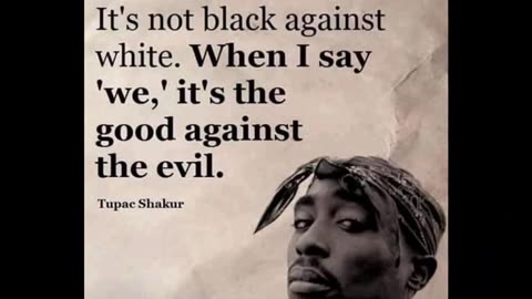 who ever said we had no voter fraud should be jailed