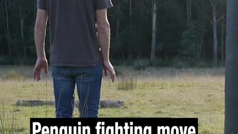 Penguin fighting move 🐧