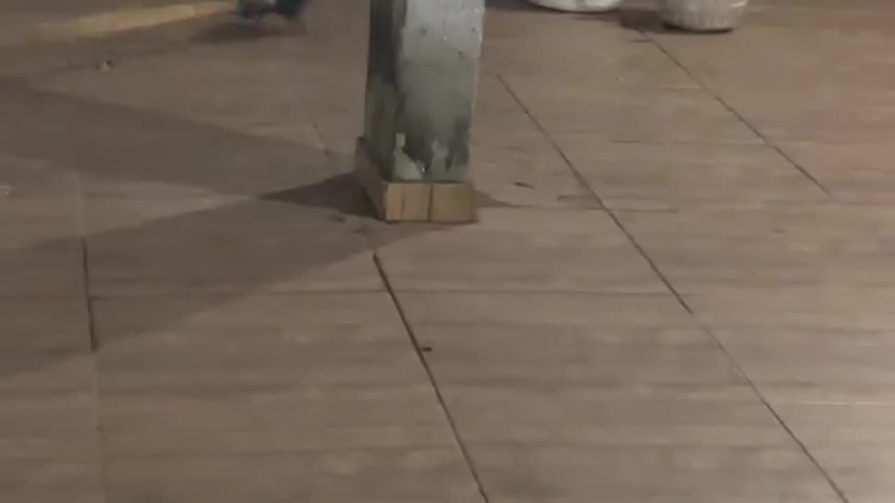 Brave Men Find a Mouse