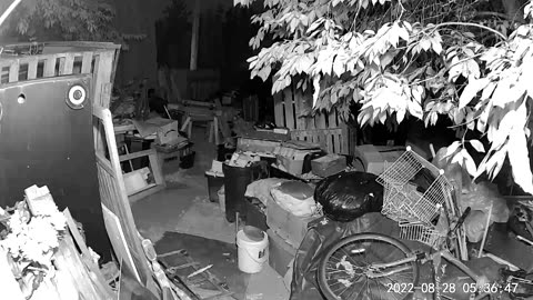 👀👻 Real Pixie and Ghost Captured on CCTV in My Backyard! | TheHauntingHour