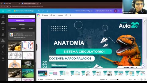 AULA 20 REGULAR 2025 - 1 | Semana 03 | Anatomía