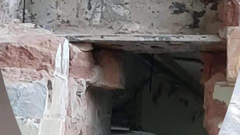 Asbestos work days on site london gucci