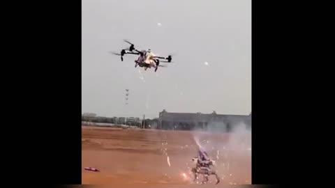 Robotic dog vs drone