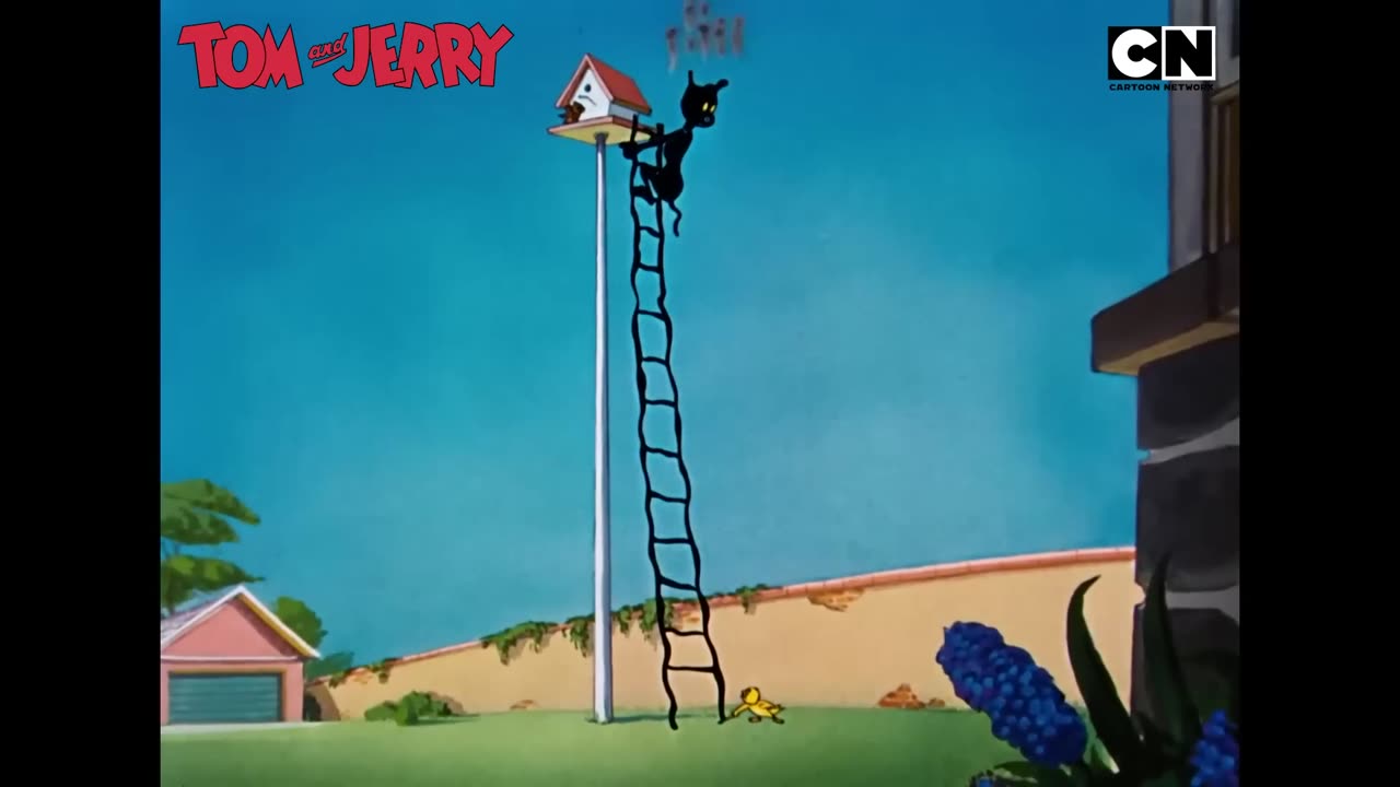 Funny Tom and Jerry- Tom’s Wackiest Traps!