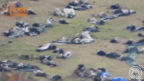 Retired Canadian Soldier Speaks Out After Edgewood Farm Raid