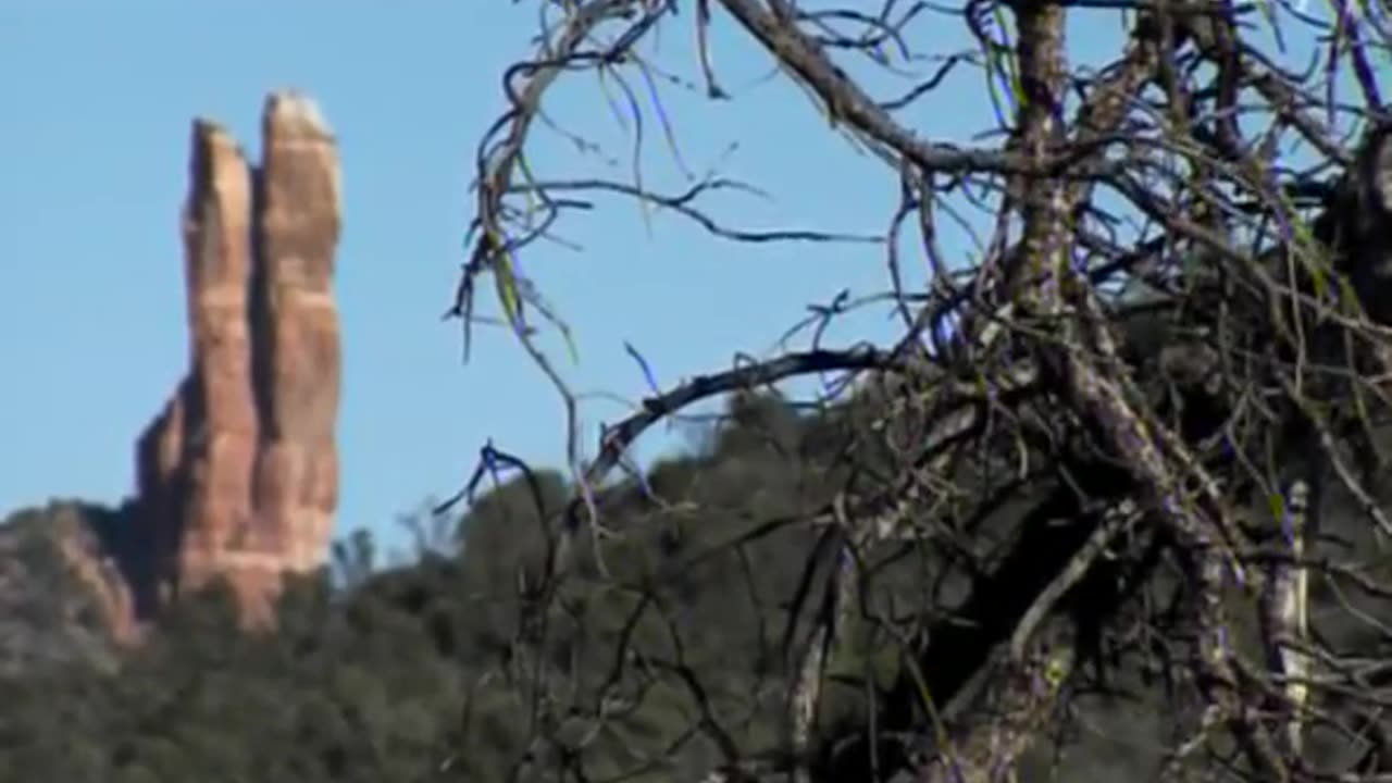 Legend Hunters - Alien Hunters