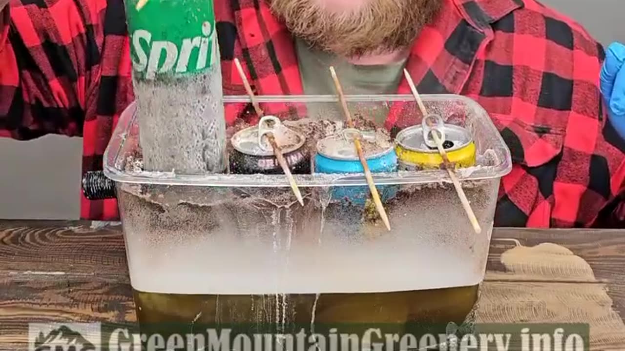 Fake Aluminum Can