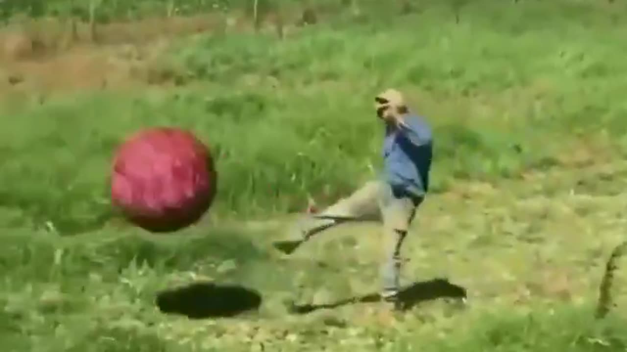 Just horsing around with a ball.. 😊