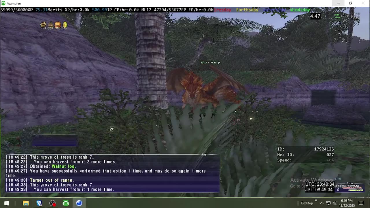 Playing Final Fantasy XI Online