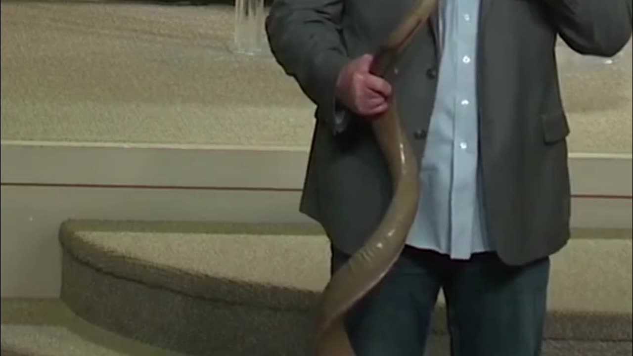 Acknowledging the Power of God's Word Expect His Mighty Works