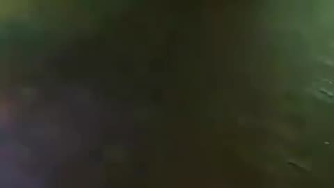 They hate Christmas and Christians. They must not stay in Europe.