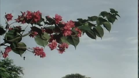 Tenko. S01 E01. Shattered Dreams