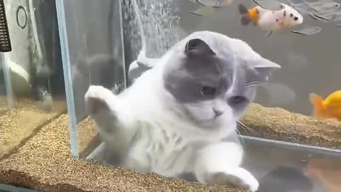 hunter