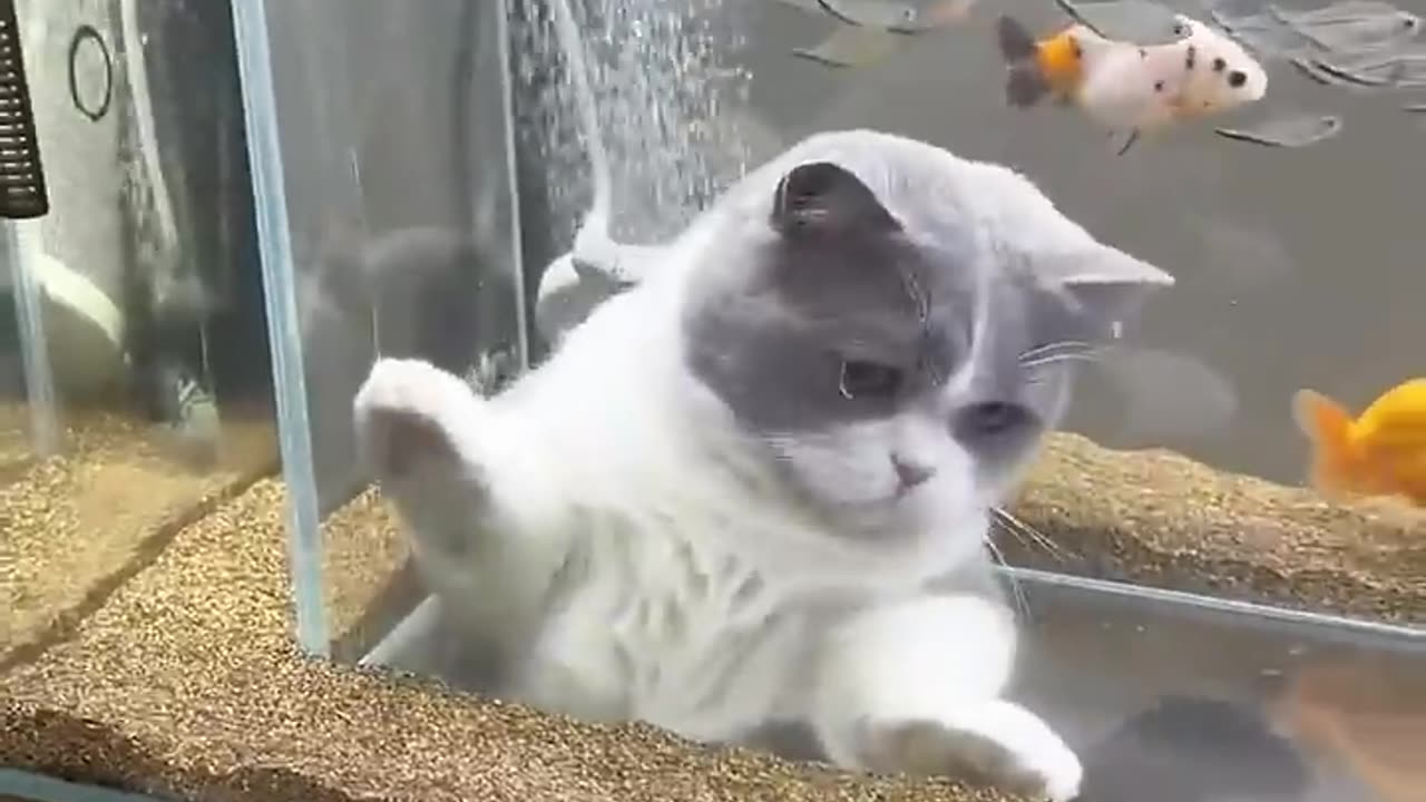 hunter