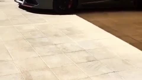 🏎️💨 This Lamborghini is the ULTIMATE Powerhouse! | LuxurySportsCars