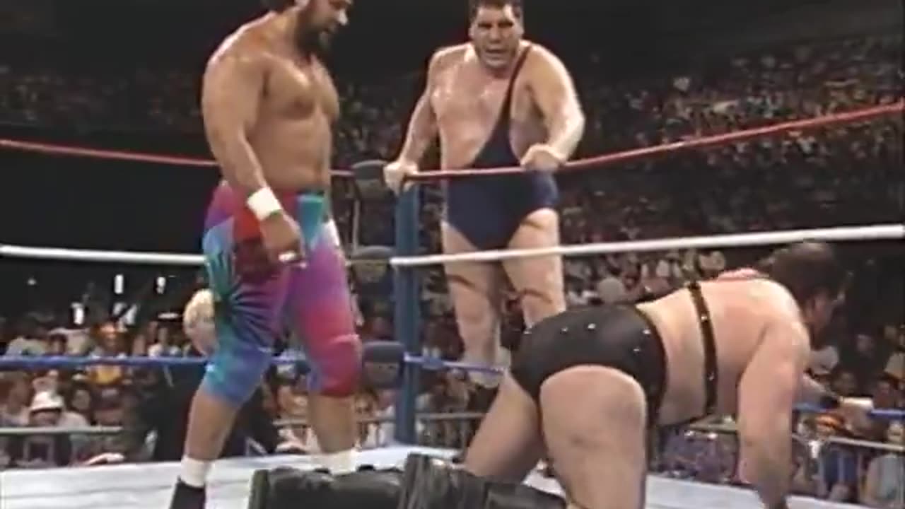 (1990.01.23) Haku & Andre the Giant vs Demolition - WWF