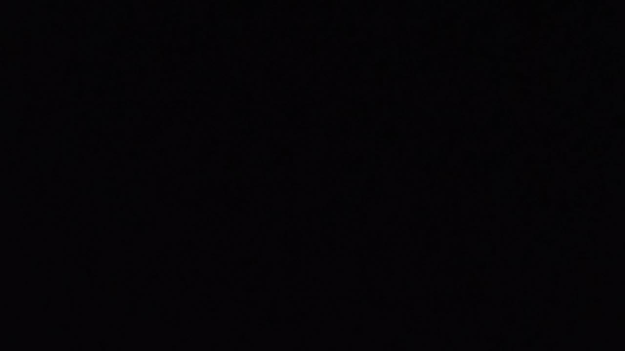 Feb 19 2025