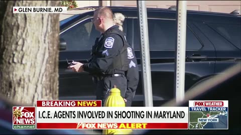 ICE Agents Involved In Christmas Eve Shooting After Suspect Attempted To Run Them Over