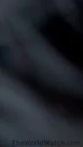 How can anyone support these bastards?