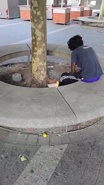 In Dortmund, Germany, they light bonfires like in the jungle.