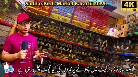 Karachi saddar birds market