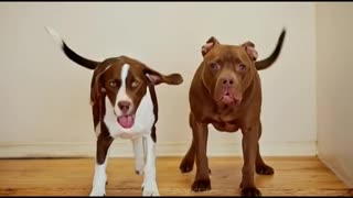 TUBBY & JACKIE ARE DATING