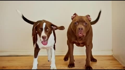 TUBBY & JACKIE ARE DATING