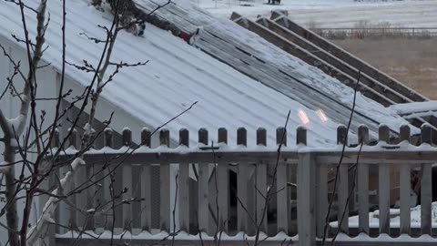 Turns Out That Sliding Off the Roof Is the Fastest Way to Clear Snow